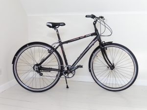 Rohloff, hub gear, inexpensive, cheap, hub gear bike, hub gear bicycle, easy gears, easy to use, easy pedalled, easy to climb hills, berwick, northumberland, coast to coast, coast and castles, sustrans, easy cycling, twist shifter, border loop, tweed cycleway,