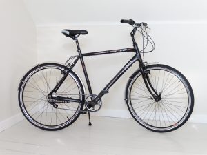 Rohloff, hub gear, inexpensive, cheap, hub gear bike, hub gear bicycle, easy gears, easy to use, easy pedalled, easy to climb hills, berwick, northumberland, coast to coast, coast and castles, sustrans, easy cycling, twist shifter, border loop, tweed cycleway,